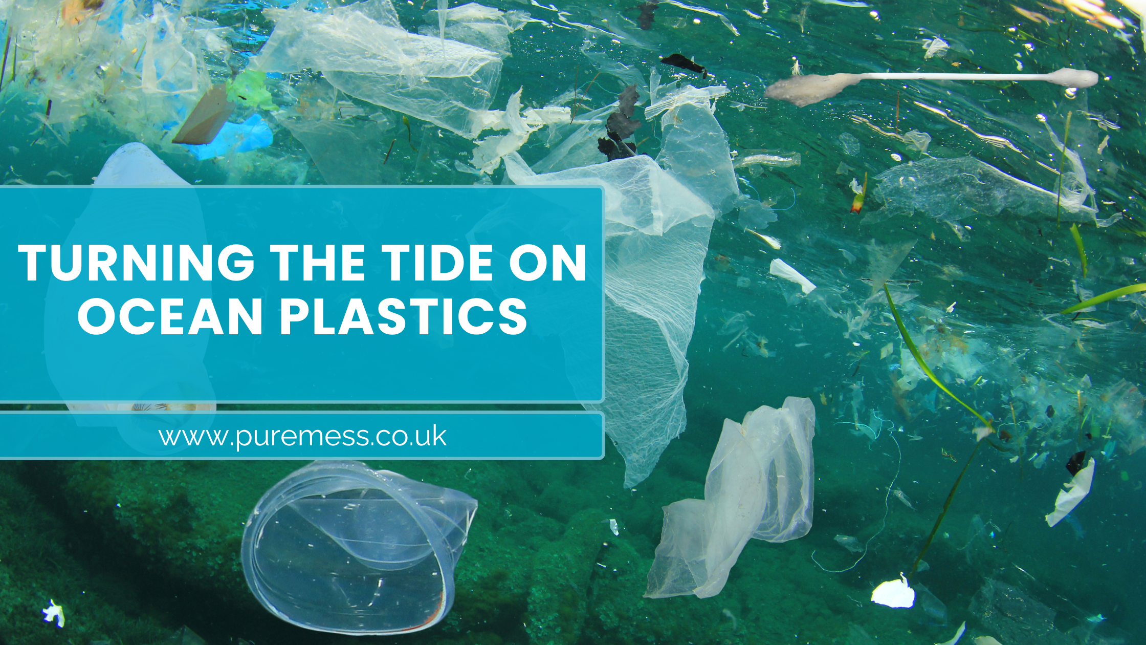 How Your Skincare Choices Can Help Save the Oceans: A Guide to Sustainable Beauty