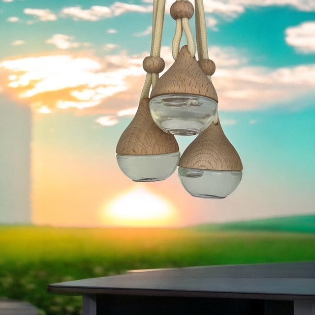 Revive & Refresh Hanging Car Diffuser – Natural Essential Oil Air Freshener Trio