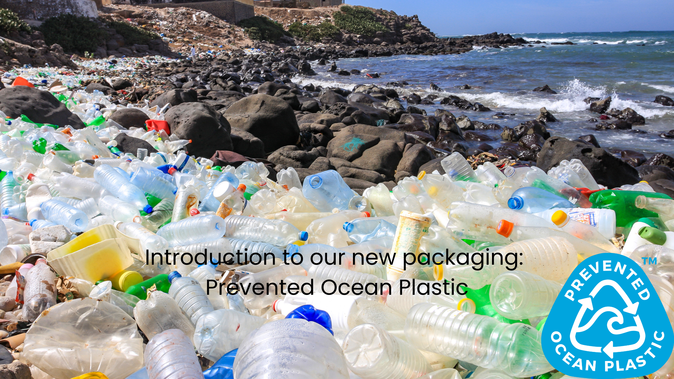 lots of empty single use plastic bottles washed up on a beach