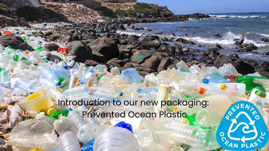 lots of empty single use plastic bottles washed up on a beach