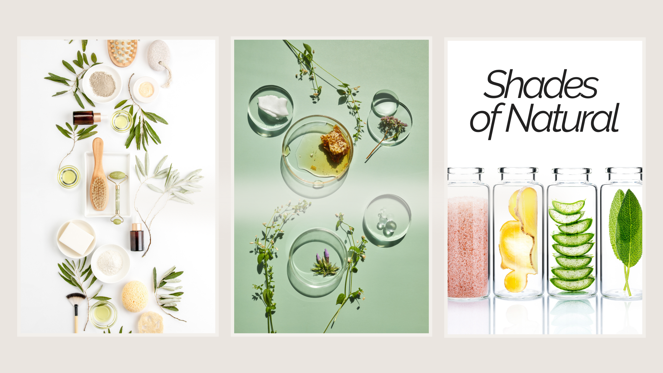 Picture showing a range of natural skincare ingredients
